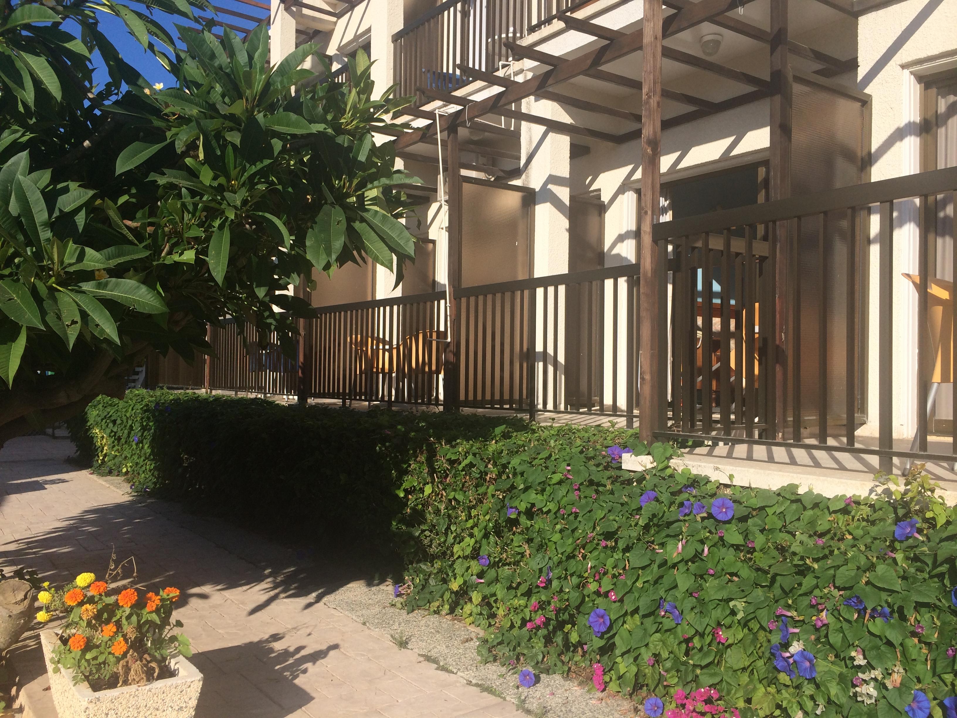 King's Hotel Paphos Eksteriør bilde